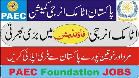 psec pakistan|PAEC .